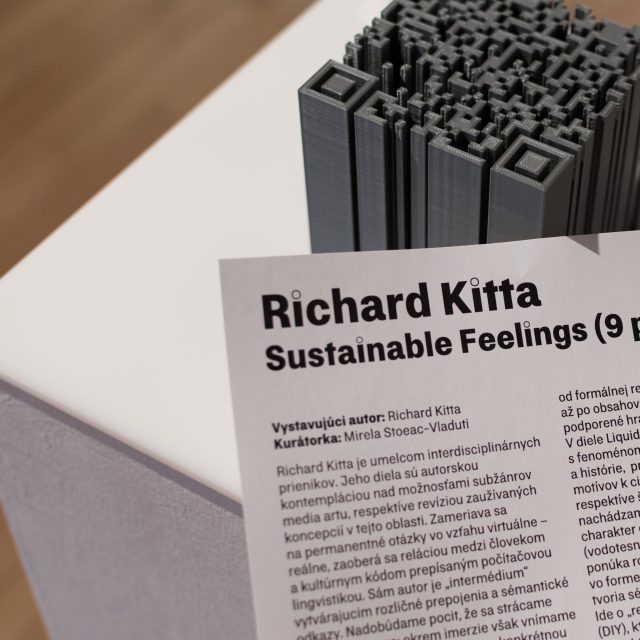 17 - Richard Kitta – Sustainable Feelings (9 pcs)