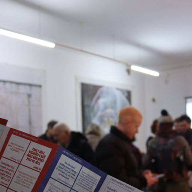 15 - Kateřina Šedá / komentovaná prehliadka výstavy SENIOR LINKA