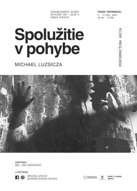 Performancia: Spolužitie v pohybe / Michael Luzsicza