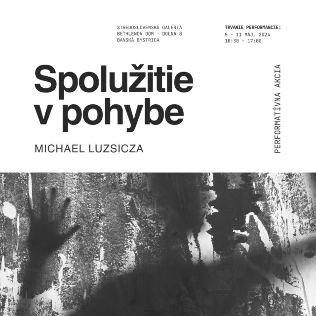 Performancia: Spolužitie v pohybe / Michael Luzsicza