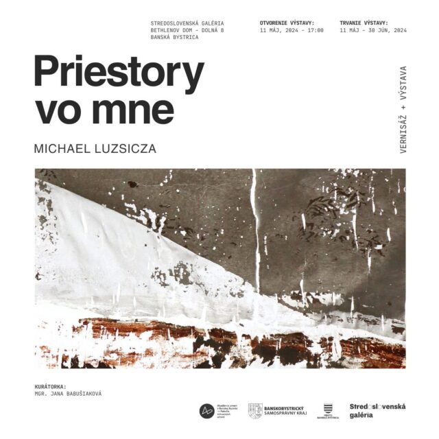 Priestory vo mne / Michael Luzsicza