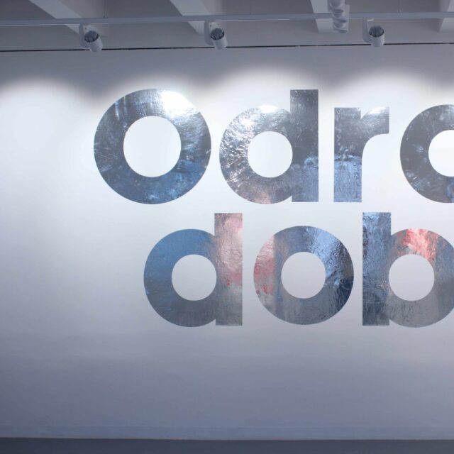 2 - The Doctors 3.0 – ODRAZ DOBY